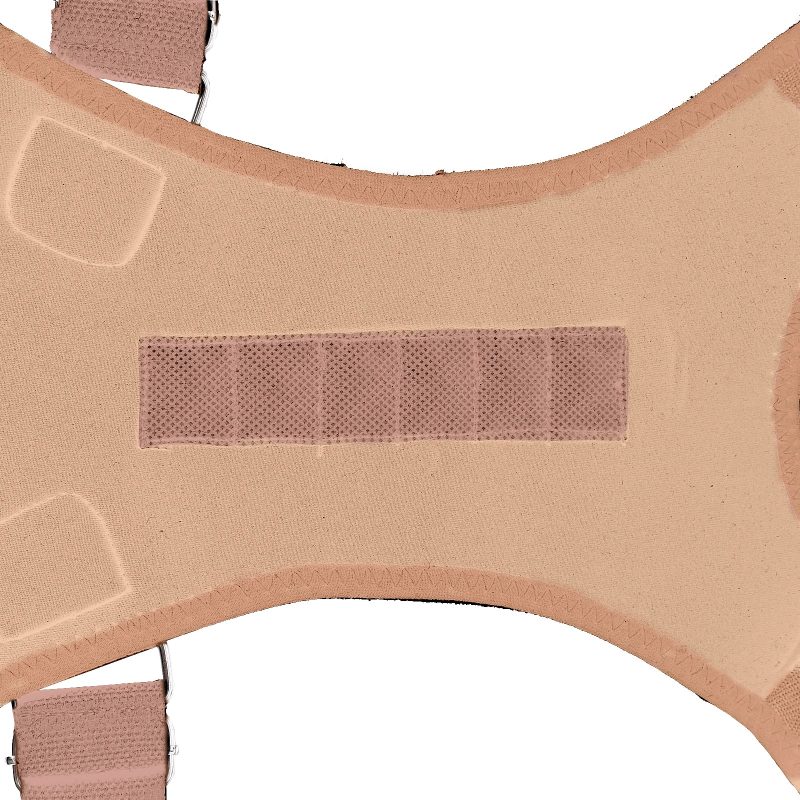Corrector Postural de Espalda Magnético con 12 Imanes – Soporte Ajustable Unisex