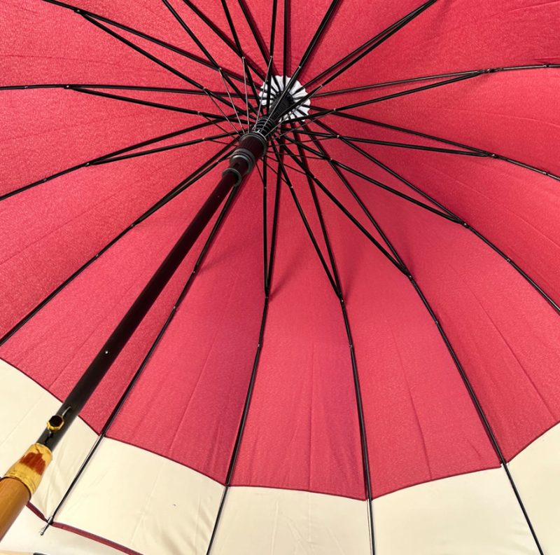 Guarda-chuva